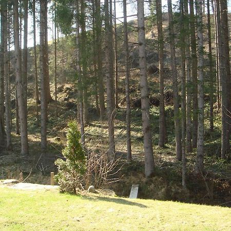 Haus Bugiel Werlberger Ξενοδοχείο Oberndorf in Tirol Εξωτερικό φωτογραφία